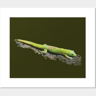 Gold Dust Day Gecko Posters and Art